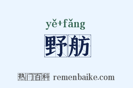 野舫是什么意思的图片